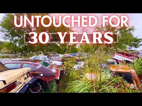 These Old Cars have been Stacked for DECADES! Time to Bring in the Crusher!