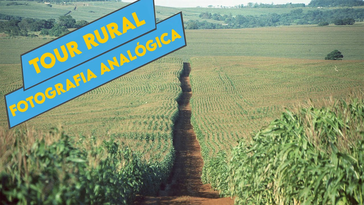 Fotografia analógica no interior do Paraná! Vendinhas,  café, retratos e paisagens