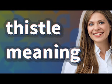 Thistle Definition