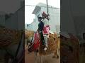 Shorts Shortsfeed Dulha Ghodi