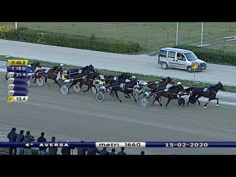 Aversa trotto 15 Febbraio 2020 - 4° Corsa
