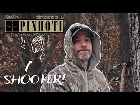 BIG BUCK on his FEET | WEATHER SHIFT has us in the GAME | BOWHUNTING the RUT- UNGULATE EDITIONS 2022