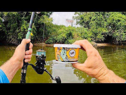 4 Hours of RAW and UNCUT Kayak Carp Fishing with Worms on the Tennessee River