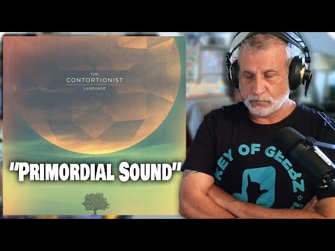 Checking Out The Contortionist Primordial Sound | Music Review and Reaction