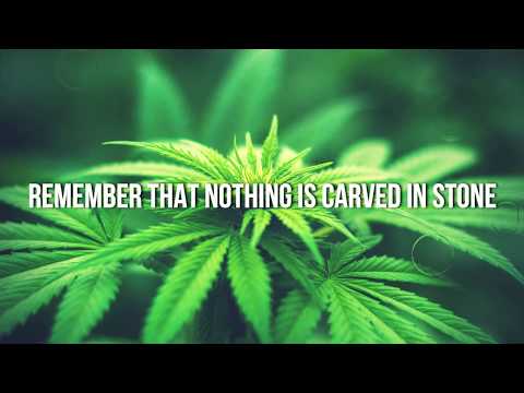 Heart like a lion Lyrics by Rebelution