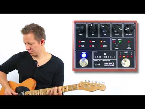Free The Tone Ambi Space Reverb AS-1R 2016-present - Black and Metallic Brown image 6