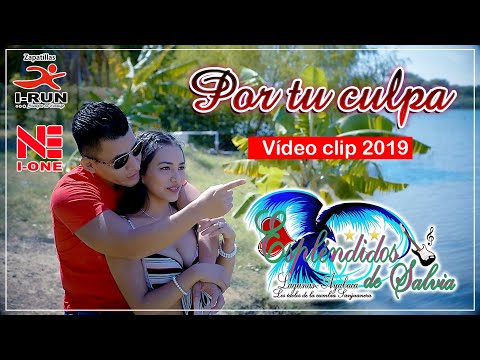 POR TU CULPA - ESPLENDIDOS DE SALVIA - VÍDEO CLIP OFICIAL JUNIO 2019