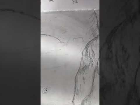 Witness21  2019 02 14