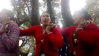 Download lagu Chachri komauni gogina ki vadiya mp3