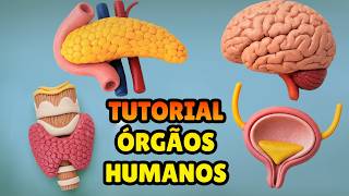 🔴 FAÇA ÓRGÃOS DO CORPO HUMANO - Tutorial Biscuit, Pasta Americana, Clay ou Plastilina - DIY Anatomia