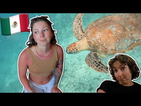 MAGSJUKA & SIMMAR MED SKÖLDPADDOR | backpackingvlogg