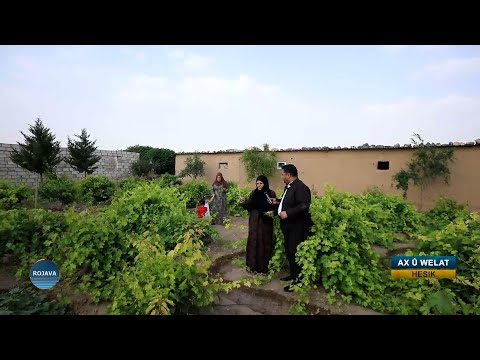 AX Û WELAT ||  GUNDÊ HESIK || 14 – 6 – 2025