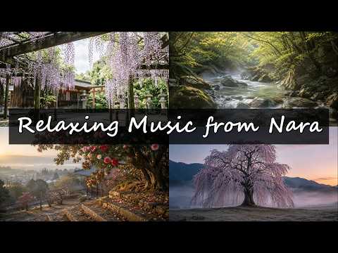 Sounds of the Journey — Nara in Spring Vol.2 | 2h 10min Album | Nara ambient BGM