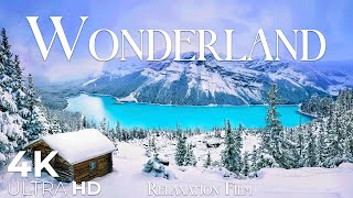 Winter in Paradise 4K • Nature Relaxation Film with Nature Sound and Relaxing Music