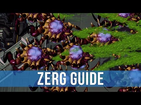 StarCraft 2: Zerg vs Protoss Unit Compositions & Tech Switches!