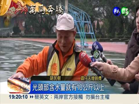 9萬人冒雨爭睹 "燒圓仔"好漏氣!