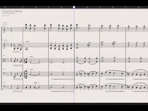 Capriccio Mesto (Berlin First Chairs version)