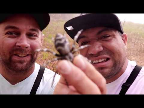 Bass Fishing with a SPIDER LURE? LUNKERHUNT PHANTOM SPIDER REVIEW