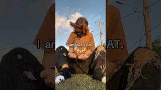 A human called me a cat 😒 #therian #quadrobics #fox
