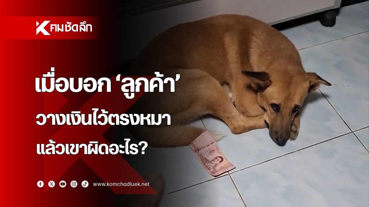 เมื่อบอก 'ลูกค้า' วางเงินไว้ตรงหมา แล้วเขาผิดอะไร?