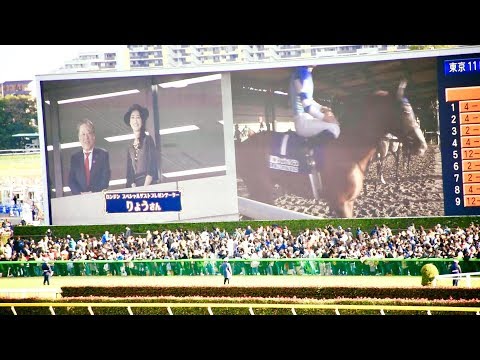 2017.11.26ジャパンカップJC(G1)⑦スペシャルムービー＆りょう＠東京競馬場