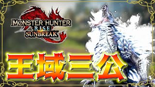【モンスターハンターライズサンブレイク switch版】#10 今さらライズを始めたけどサンブレイクに行くことができました【生放送】