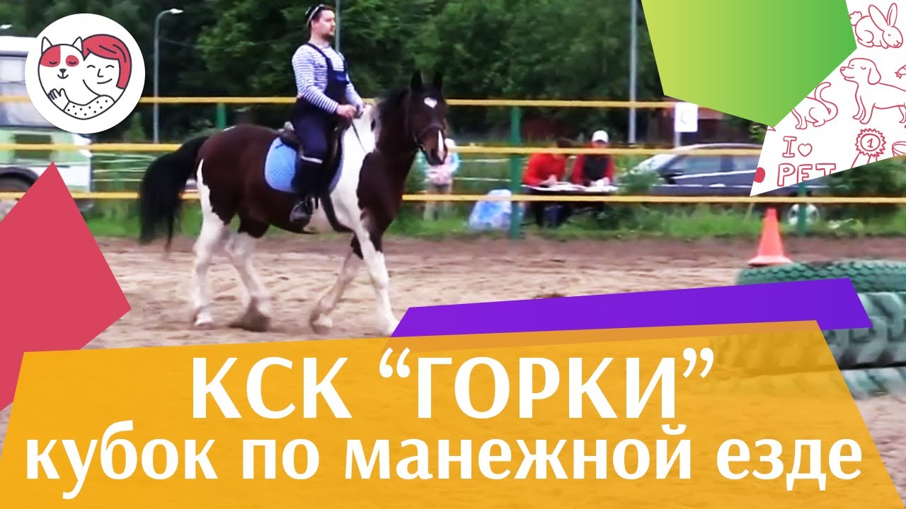 Летний кубок КСК Горки по манежной езде КЮР часть 8 на ilikepet
