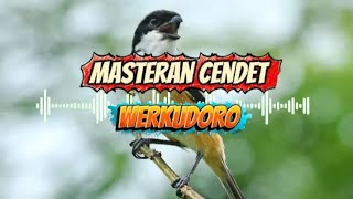 Download lagu Masteran cendet yang lagi viral dengan suara gemercik air mp3 Download lagu Masteran cendet yang lagi viral dengan suara gemercik air mp3