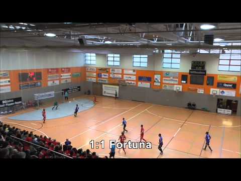 SG Jößnitz Hallenkreismeisterschaft ER 18.01.2015