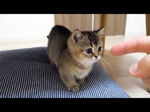 YouTube 썸네일