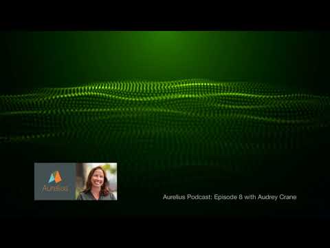 Audrey Crane on UX Design and User Research