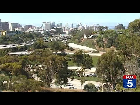 Saturday Weekend Update