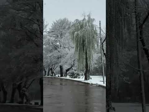 El Trapiche se convirtió en un cuento de hadas ❄️✨