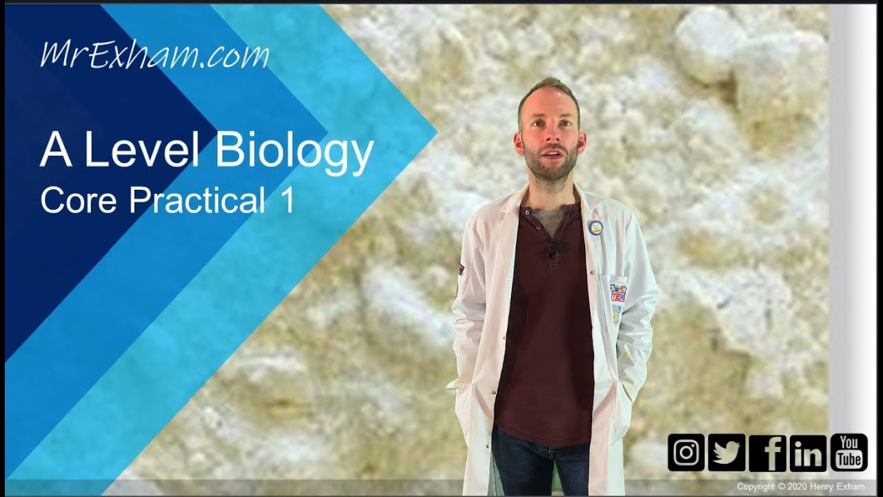 Core Practical 1 - A Level Biology