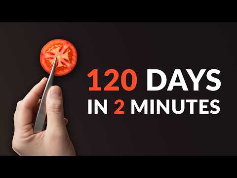 I Planted a Tomato Slice and Waited 120 days