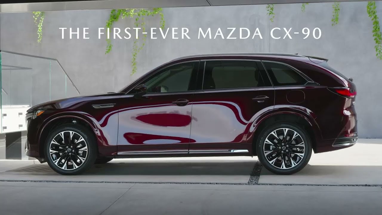 What does EV mean in pictures? Tipseri