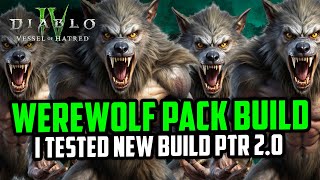 Insane Werewolf Pack Druid Build - I tested New Build Diablo 4 Season 6 PTR