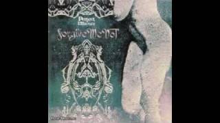 Forgive Me Not - The Dying Star Pilot