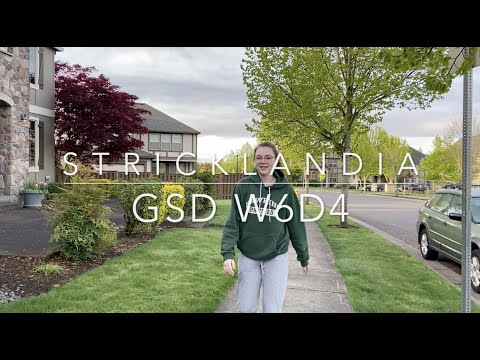 Stricklandia - GSD - W6D4