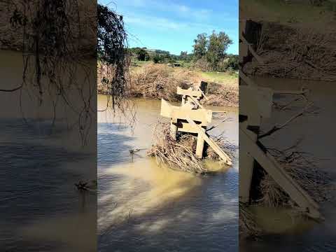 PONTE DO RIO TOROPI CAIADA- QUEVEDOS RS #riotoropi #toropi #quevedos #shorts #saopedrodosul