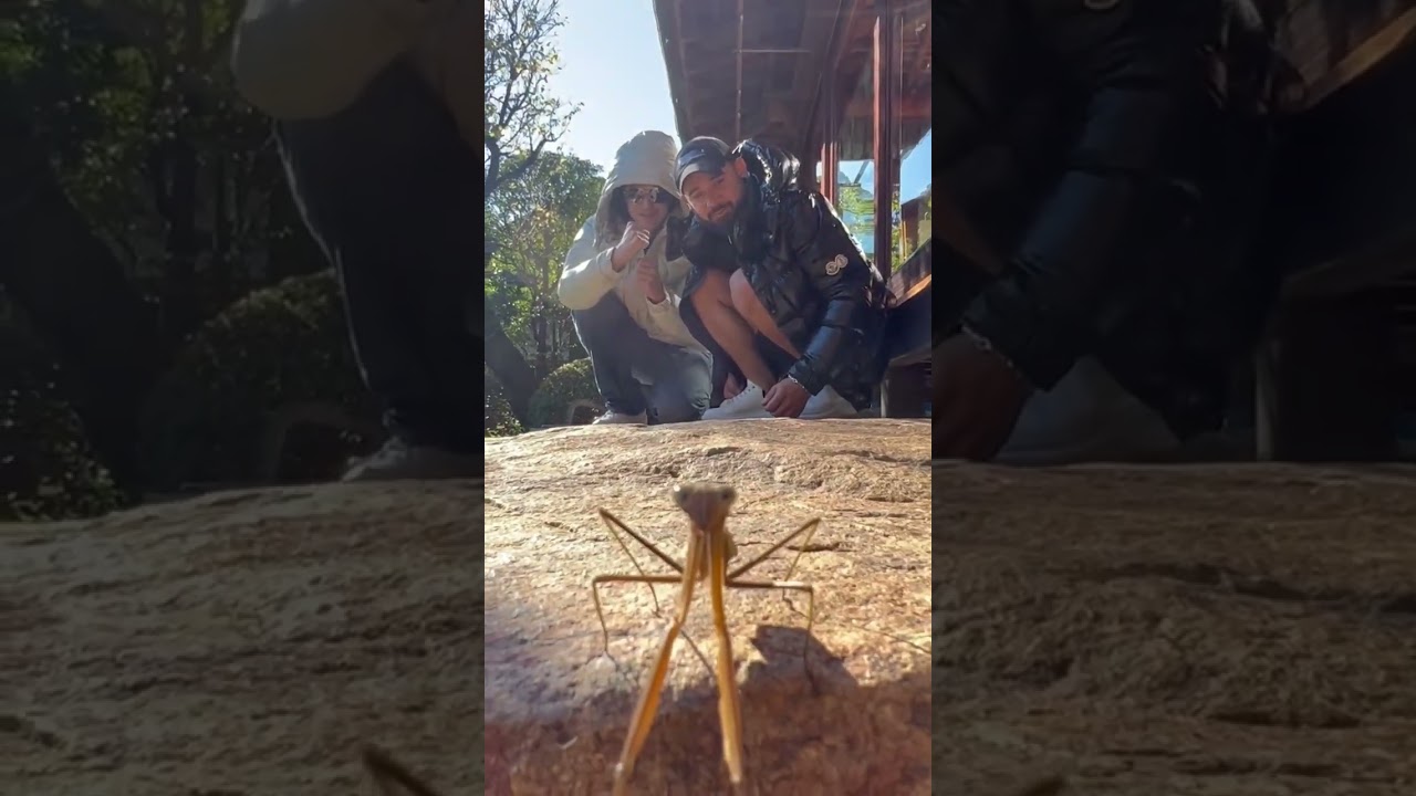 me and bladee w a mantis