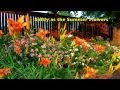 Softly as the Summer Flowers (Relaxing Piano ...
