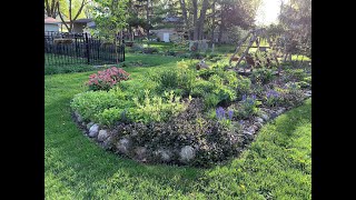 Weekly Sunday May Garden Stroll with Bird Song