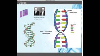 "Da Mendel a alla terapia genica: leggere e correggere il genoma con le moderne biotecnologie"