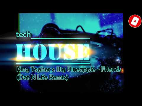 King Topher x Big Pineapple - Friends (Dot N Life Remix)