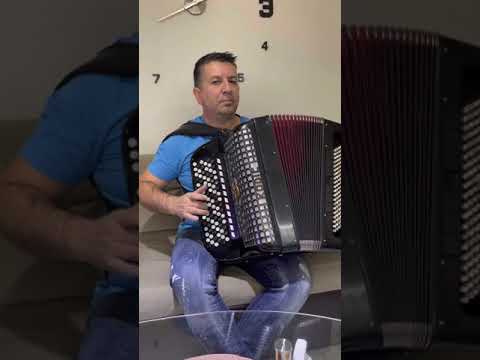 Skola harmonike Bojan Nesic - Ivanov sumadijski triler kolo