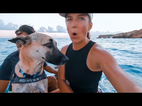 It Takes Guts to Sail OVERNIGHT with ONLY a Phone (No Autohelm or AIS) | BOAB 173