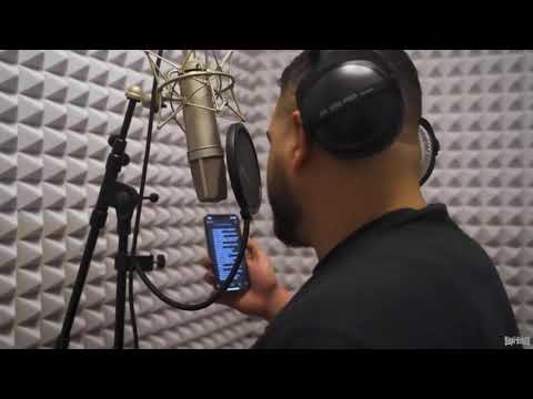 Hemso schreit ins Mikro