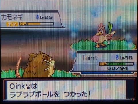 (DTQ #5) Live! Shiny Farfetch'd in HeartGold after 16,706 REs!
