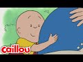 Big Brother Caillou Caillou WildBrain Learning For Kids